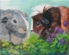 Small Animal Pet Portrait